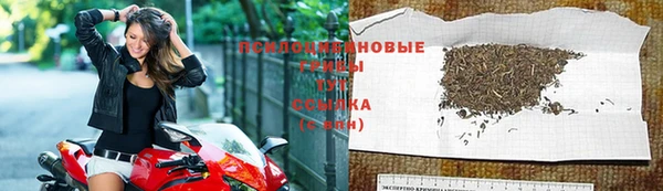 наркотики Ладушкин