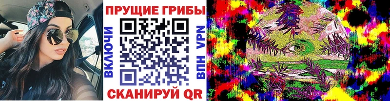Псилоцибиновые грибы Psilocybe  Щёлкино 