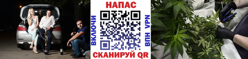 Канабис ГИДРОПОН  Щёлкино 